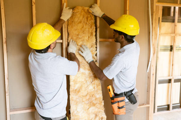 Best Attic Insulation Installation in Boaz, WV